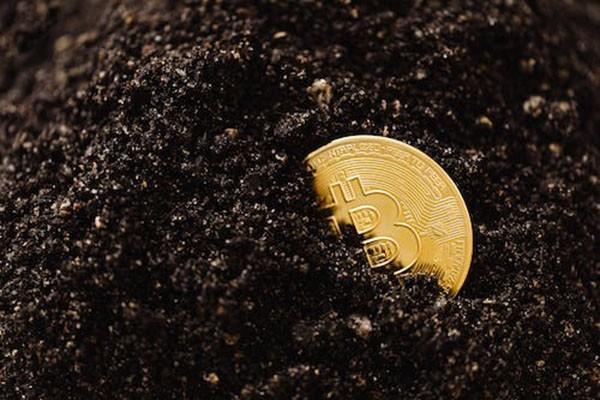 信用卡逾期了怎么协商延期还款，被电话催收了怎么办