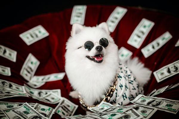 中行信用卡逾期起诉流程
